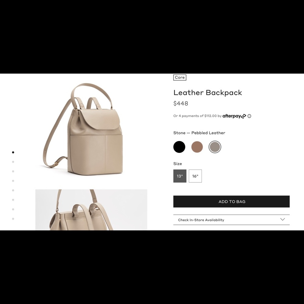 Cuyana backpack in stone